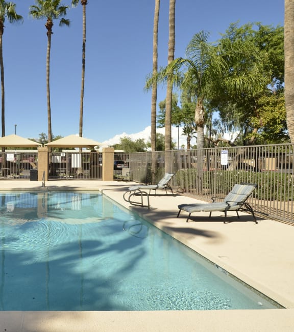 Apartments In Shadowridge